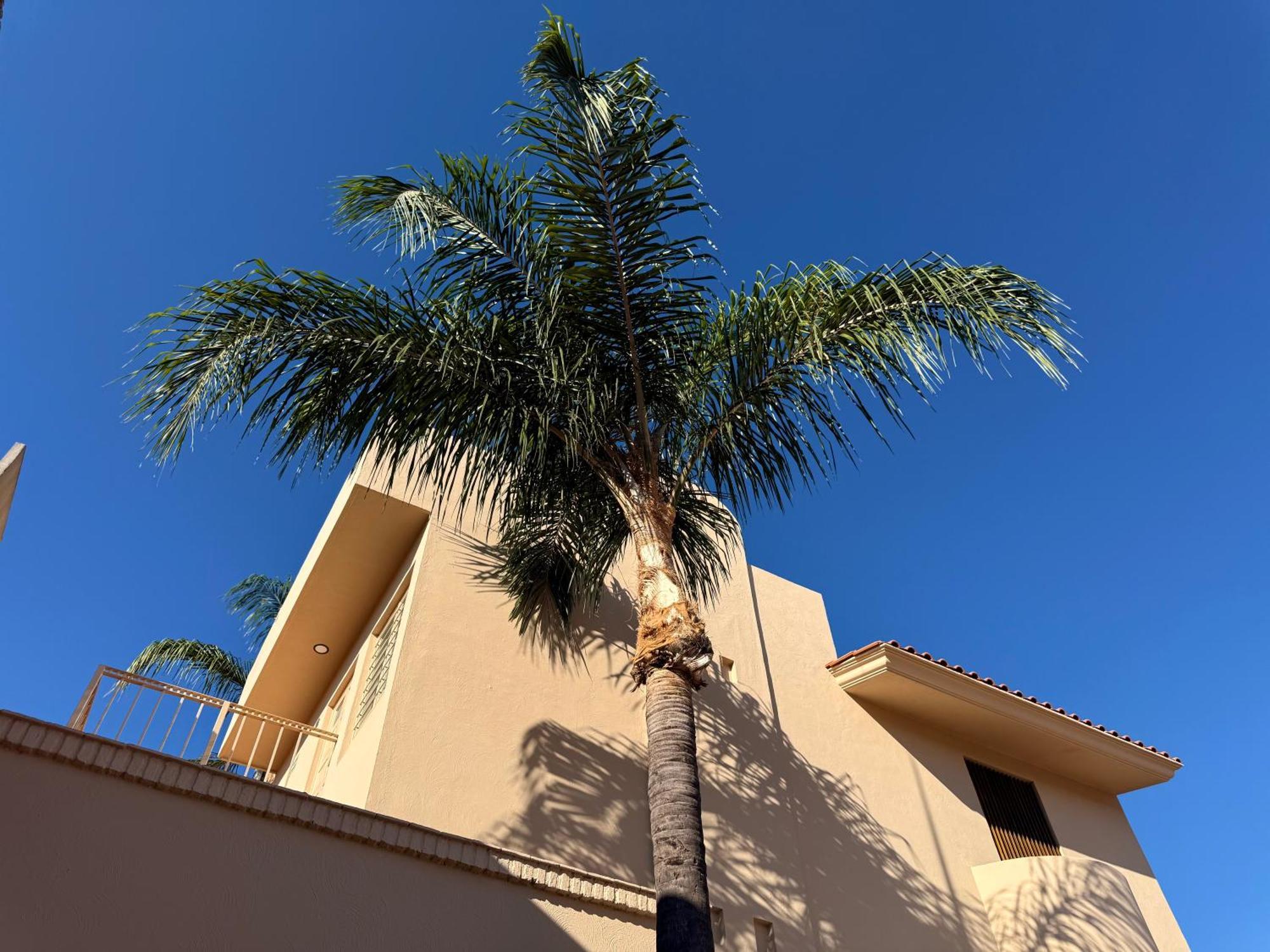Villa La Palma Hotel Tequila Exteriör bild