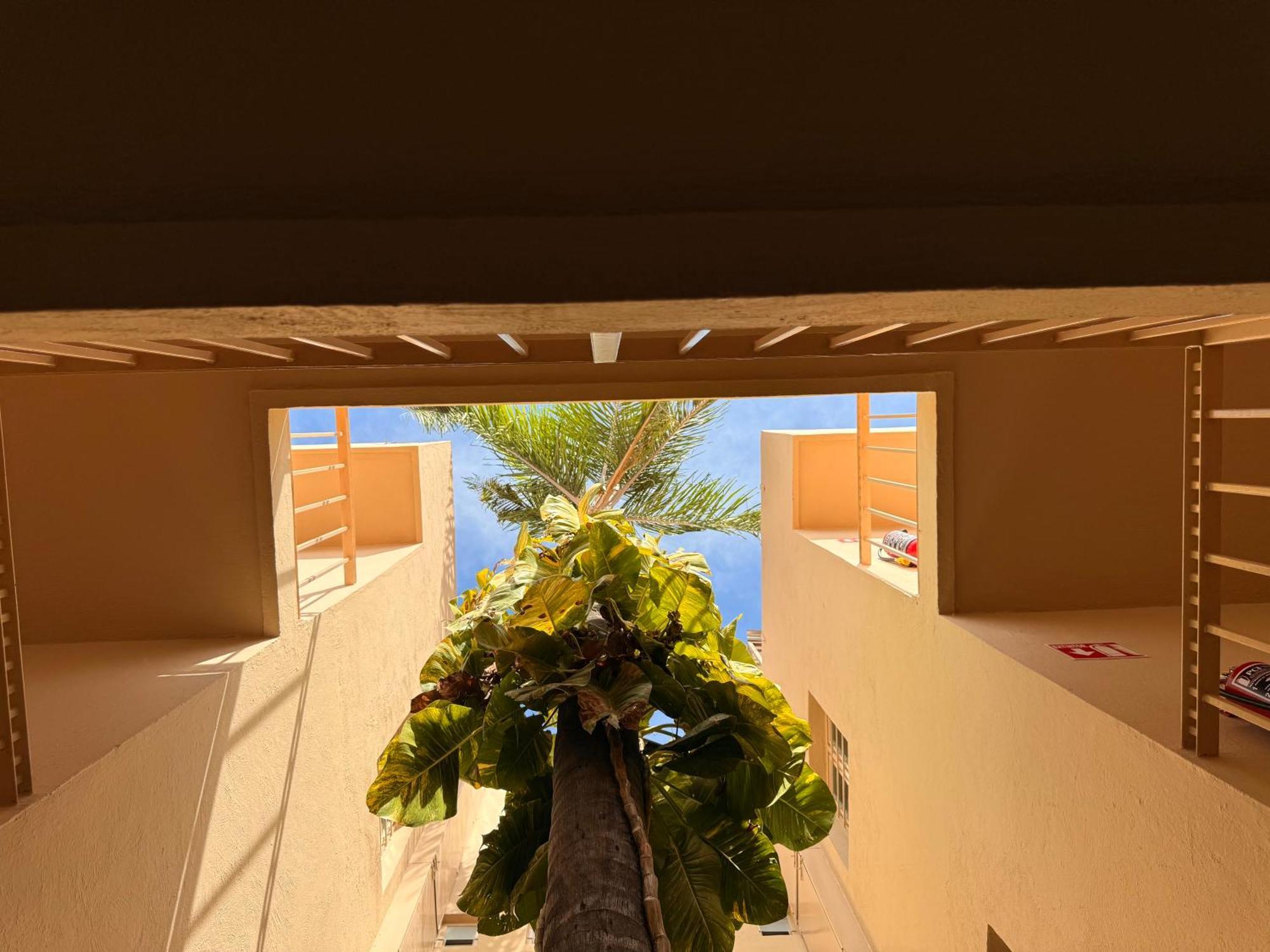 Villa La Palma Hotel Tequila Exteriör bild