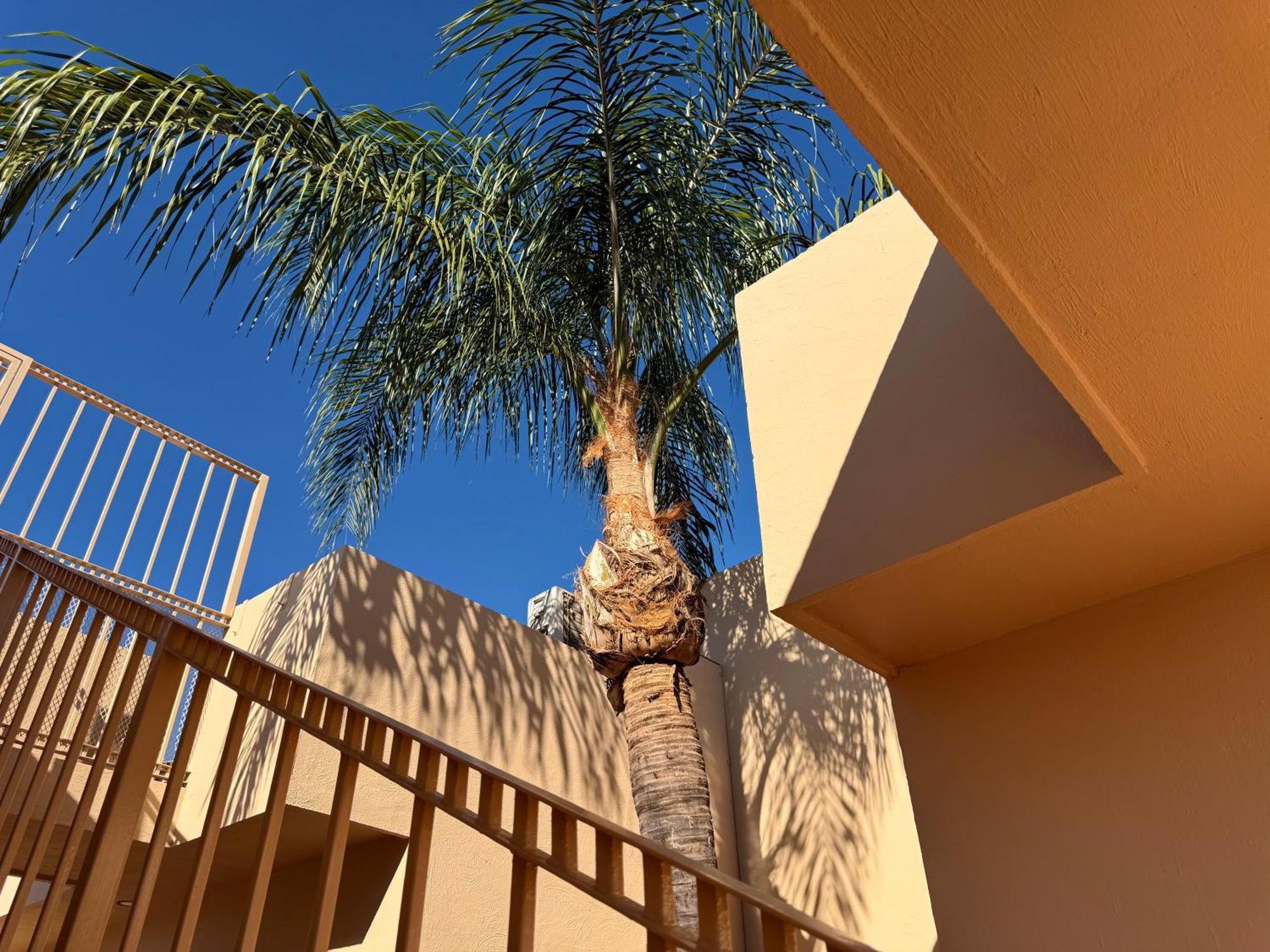 Villa La Palma Hotel Tequila Exteriör bild